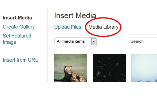 media-library-files