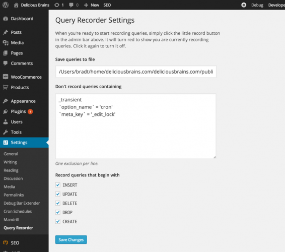 query-recorder-settings