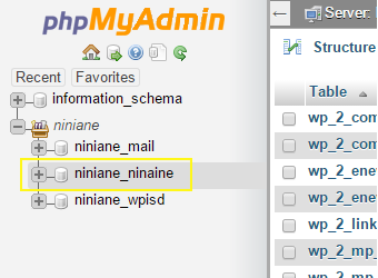 phpMyAdmin-database-selected